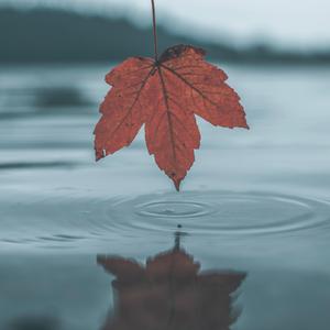 美女露大胸性教育
