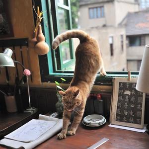 美女露大胸性教育
